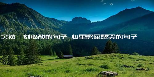 突然一刻心酸的句子 心里憋屈想哭的句子